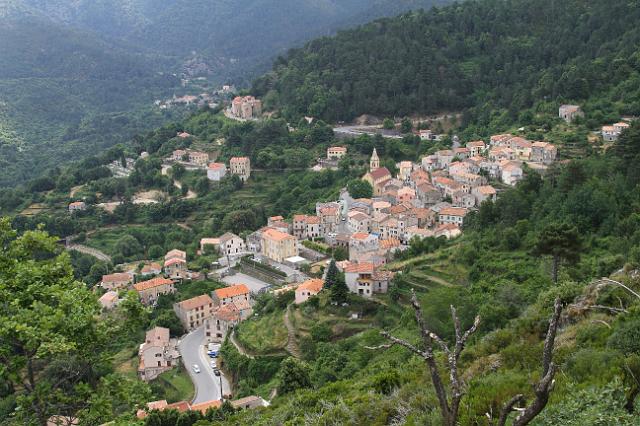0095 Vivario.JPG